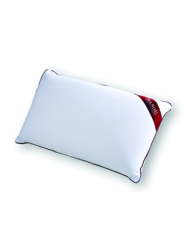 ALMOHADA VISCO BELNOU