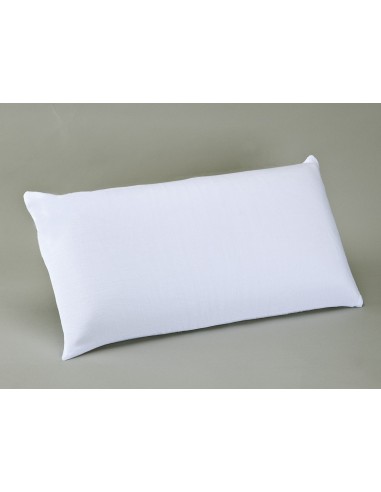 ALMOHADA VISCOPLUS BELNOU